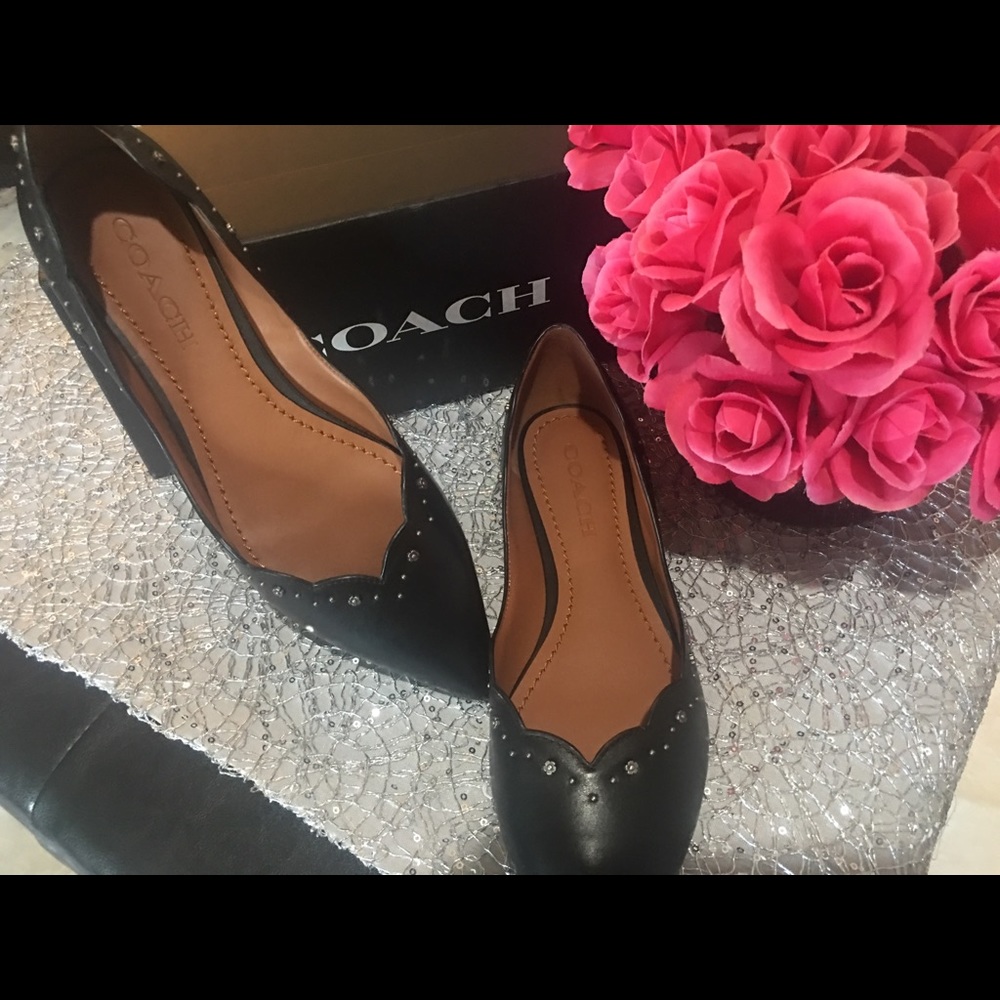 Black Coach Vivian Pointed Toe Flats w/Rose Studs